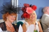 bloomsday-13_0035