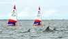 topper-world-dolphins-cropped