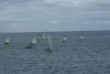 13729015_1787152541514832_8552858208901035037_n