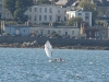 optimist_gorman_2010_15