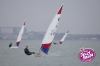 jelly_bean_topper_leinsters-82