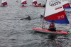 toppers_dolphin_05