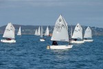 optimist-training
