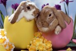 easter