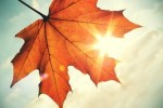 autumn025