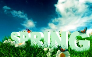 spring-wallpaper-hd